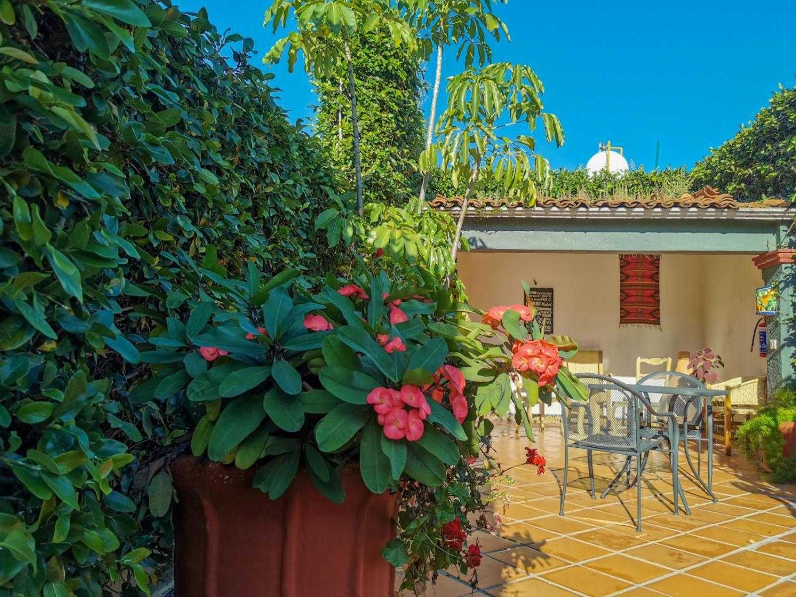 Hotel Casa Guiva Oaxaca Екстериор снимка